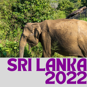 Archive : Sri Lanka - 2022